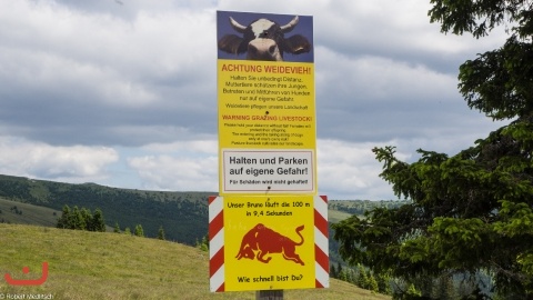 20200705_Gildelager_PICT0007