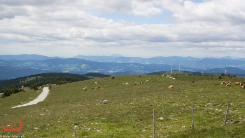 20200705_Gildelager_PICT0010