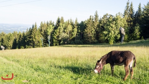 20200705_Gildelager_PICT0042