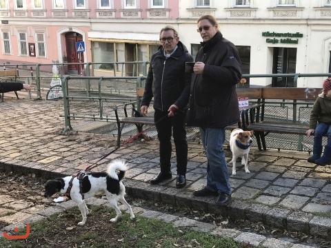 20221224.Licht-und-Punsch.PICT0008