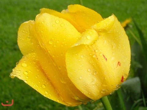20090517_Gildewochenende_PICT0064
