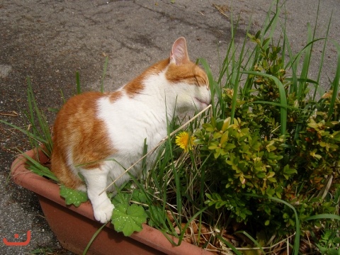 20090517_Gildewochenende_PICT0110