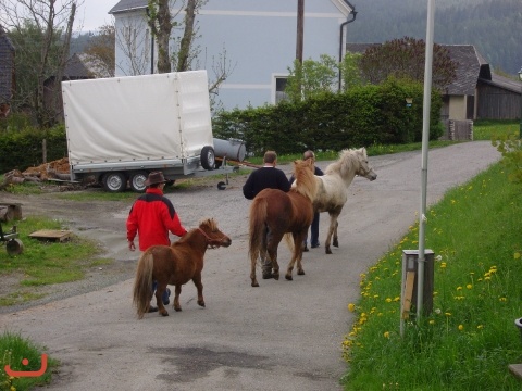 20090517_Gildewochenende_PICT0111