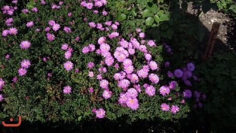 20130928_Gildeausflug_PICT0068