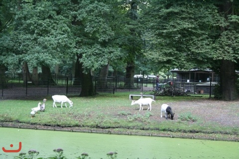 20110810_Haarlem_PICT0094