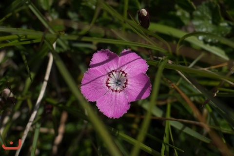 20160730_SoLa2016_Waidhofen_PICT064